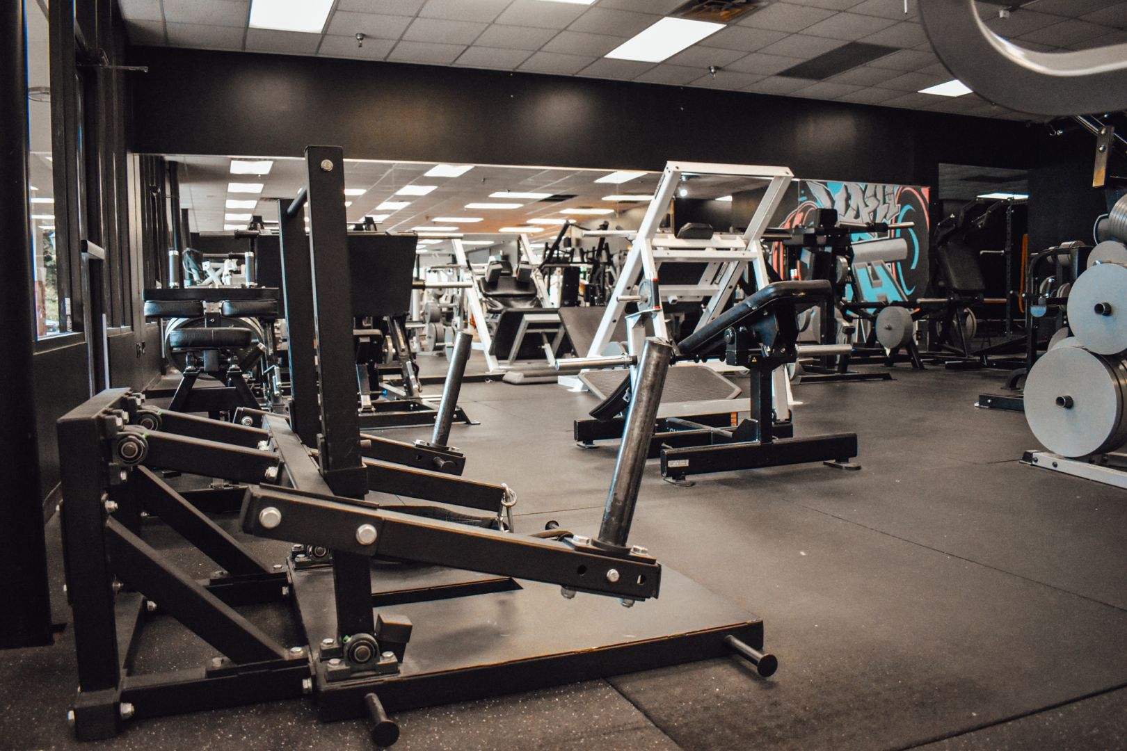 Gallery - A 24/7 Aesthetics & Strength Gym East Ridge, TN
